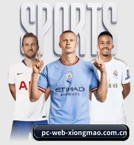pc-web-xiongmao.com.cn的故事
